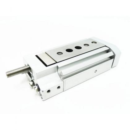 DGSL-6-10-PA 543916 Slide Cylinder