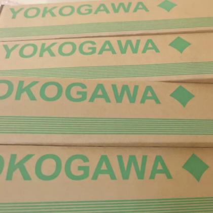 New and Original Yokogawa AAI841-H50 Module